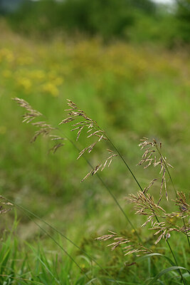 BUITEN BEELD Foto: 436783