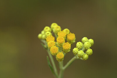 BUITEN BEELD Foto: 436786