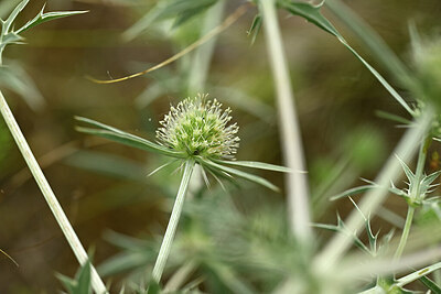 BUITEN BEELD Foto: 436790