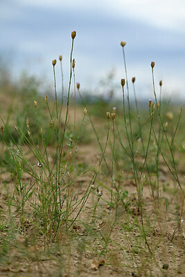 BUITEN BEELD Foto: 436793