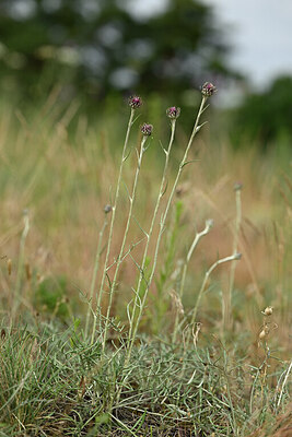 BUITEN BEELD Foto: 436794