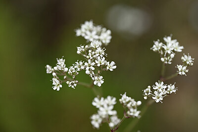 BUITEN BEELD Foto: 436800