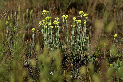 BUITEN BEELD Foto: 436808