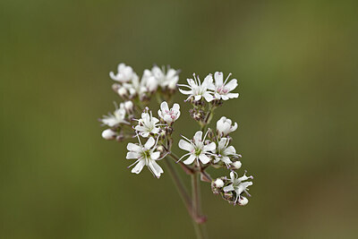 BUITEN BEELD Foto: 436832