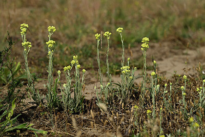 BUITEN BEELD Foto: 436837