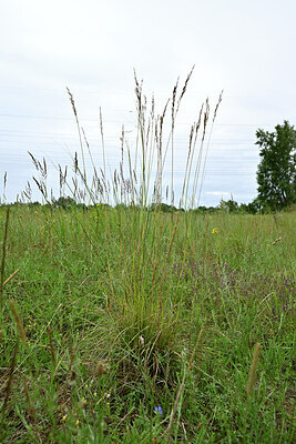 BUITEN BEELD Foto: 436856