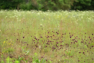 BUITEN BEELD Foto: 436874