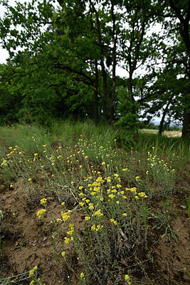 BUITEN BEELD Foto: 436875