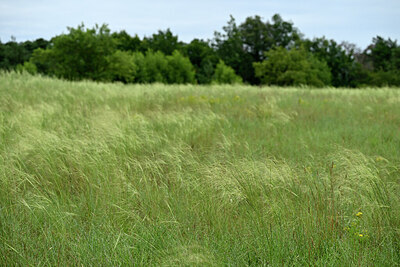 BUITEN BEELD Foto: 436880
