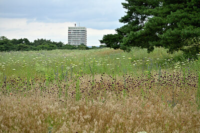 BUITEN BEELD Foto: 436901
