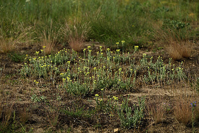 BUITEN BEELD Foto: 436902
