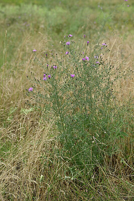 BUITEN BEELD Foto: 436921