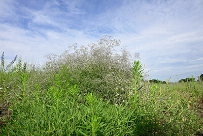 BUITEN BEELD Foto: 436927