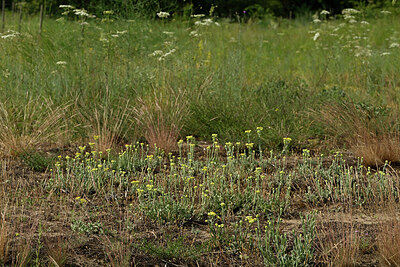BUITEN BEELD Foto: 436928
