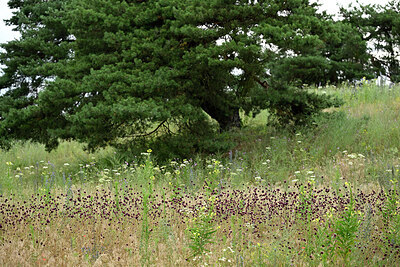 BUITEN BEELD Foto: 436934