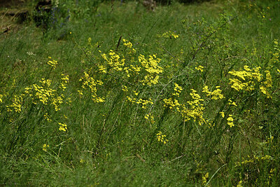 BUITEN BEELD Foto: 436939