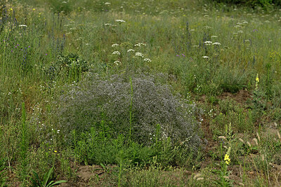 BUITEN BEELD Foto: 436953