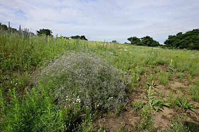 BUITEN BEELD Foto: 436963