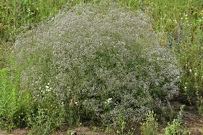 BUITEN BEELD Foto: 436968