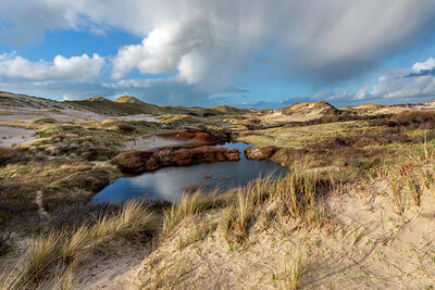 BUITEN BEELD Foto: 437015