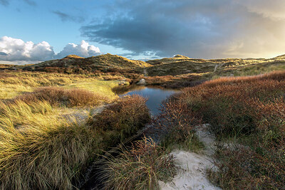 BUITEN BEELD Foto: 437021