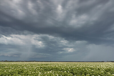 BUITEN BEELD Foto: 437027