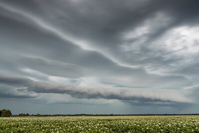 BUITEN BEELD Foto: 437031