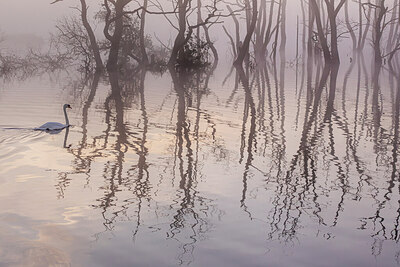BUITEN BEELD Foto: 437048