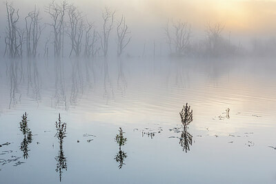 BUITEN BEELD Foto: 437049