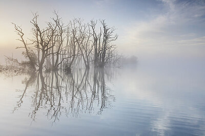 BUITEN BEELD Foto: 437052