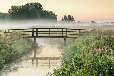 BUITEN BEELD Foto: 437053