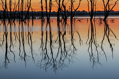 BUITEN BEELD Foto: 437054