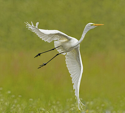 BUITEN BEELD Foto: 437055