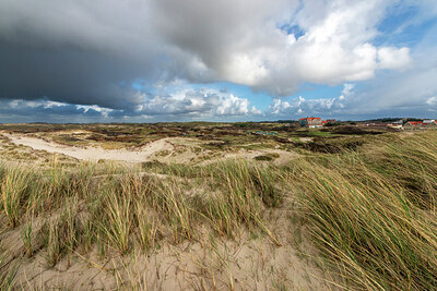 BUITEN BEELD Foto: 437062