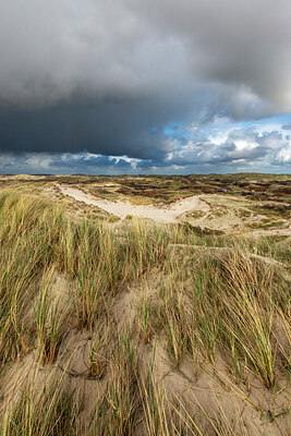 BUITEN BEELD Foto: 437063
