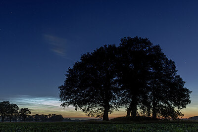 BUITEN BEELD Foto: 437070