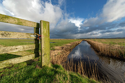 BUITEN BEELD Foto: 437072