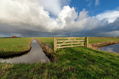 BUITEN BEELD Foto: 437075