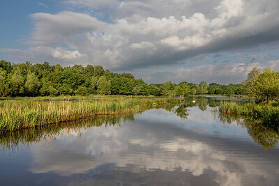 BUITEN BEELD Foto: 437086