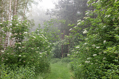 BUITEN BEELD Foto: 437089