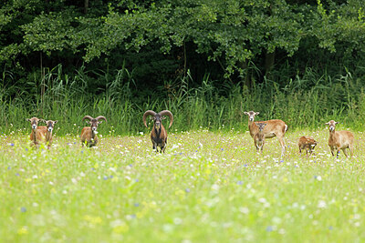 BUITEN BEELD Foto: 437091