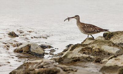 BUITEN BEELD Foto: 437111