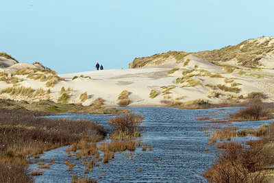 BUITEN BEELD Foto: 437139