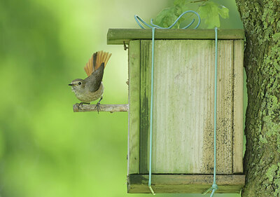BUITEN BEELD Foto: 437140