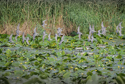 BUITEN BEELD Foto: 437152