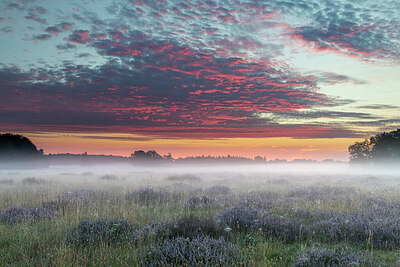 BUITEN BEELD Foto: 437176
