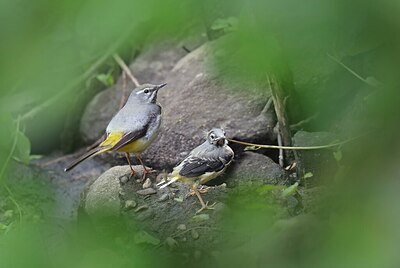 BUITEN BEELD Foto: 437184