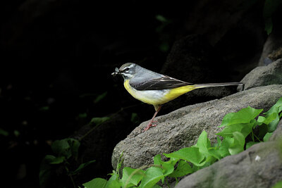 BUITEN BEELD Foto: 437231