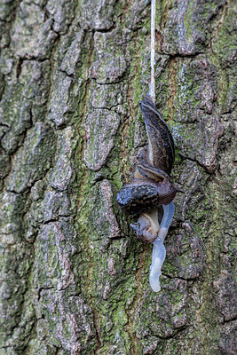 BUITEN BEELD Foto: 437265