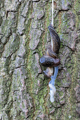 BUITEN BEELD Foto: 437266
